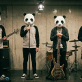 KeiKei熊猫demic