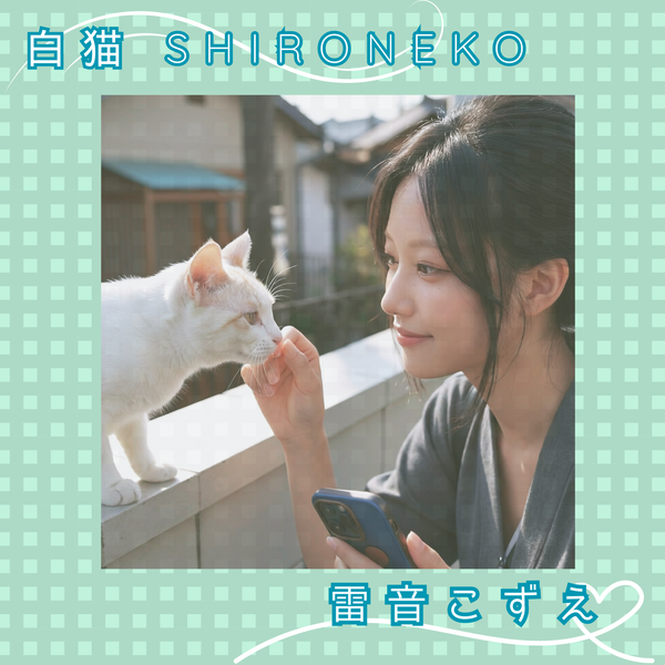 白猫 SHIRONEKO